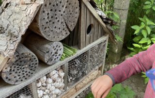 Wald - Ziel unseres Wandertages, Montessorischule Beuren, Wandertag